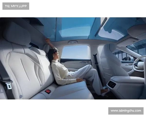 提升TomTom智能体验的七大技巧助你轻松驾驭未来出行 提升TomTom智能体验的七大技巧助你轻松驾驭未来出行