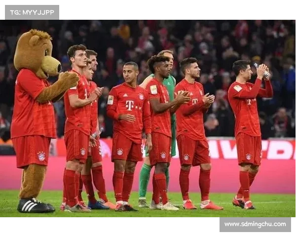 全面解析欧冠法甲英超意甲关键差异与联赛特色对比大全深度解析版