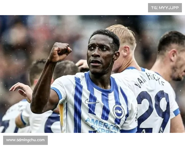 探寻维尔贝克与黑贝称呼背后的深层人格建构与多重文化隐喻之大谜