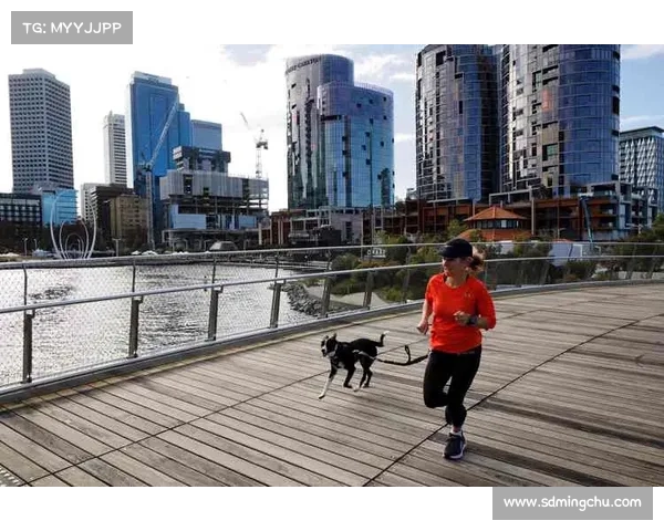 如何参与中国马拉松赛事并获得丰厚奖品大带鱼的完整指南