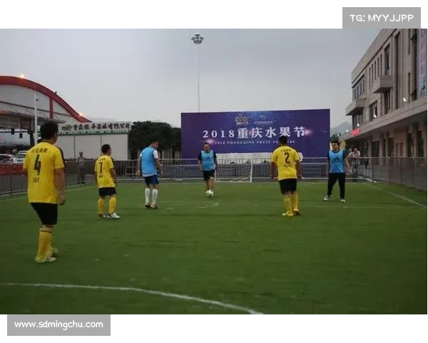 巴西足球联赛新赛季激情开幕 球迷热情高涨精彩对决纷呈