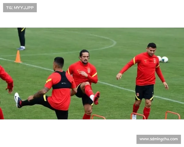 归化国脚归队实用策略分析及优化建议