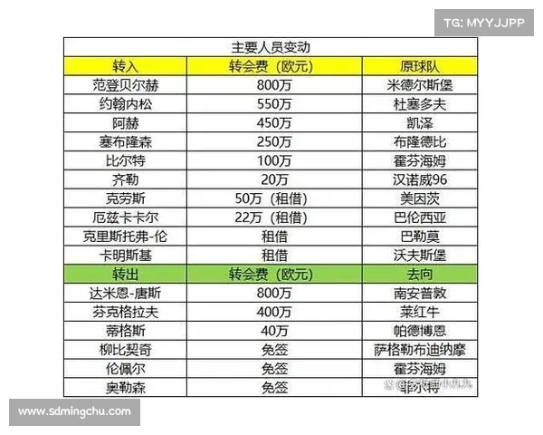 德甲球队关系与竞争格局深度解析及未来发展趋势分析