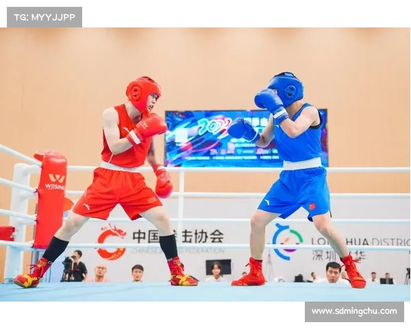 拳击比赛精彩纷呈赛制深度解析与赛事内容全面解读